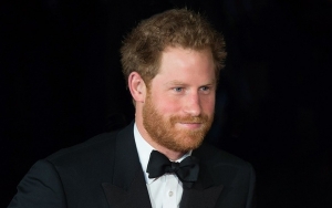 Prince Harry Teases Different Personalities Between Baby Lilibet and Son Archie