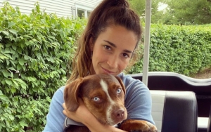 Aly Raisman Pleads for Help to Find Dog That Went Missing After Being Spooked by Fireworks