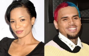 Karrine Steffans Claims Chris Brown 'Took Advantage' of Her When Detailing Alleged Hook-Up