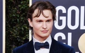 Ansel Elgort Returns to Instagram With Shaved Head a Year After Sexual Assault Allegations  