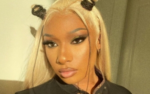 Megan Thee Stallion Fuming at Black-Run Blogs for Negative Publicity About Her