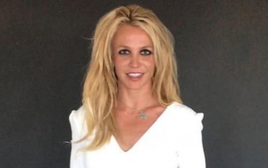 Britney Spears' Fans Liken Her Story of Getting Locked in Bathroom to Conservatorship Battle