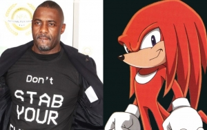 Idris Elba Offers First Glimpse of His 'Sonic the Hedgehog 2' Character Knuckles