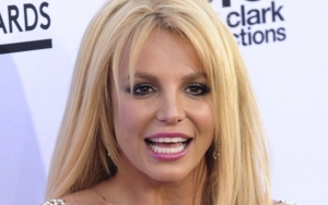 Britney Spears Addresses Boob Job and Pregnancy Speculation With More Racy Pictures