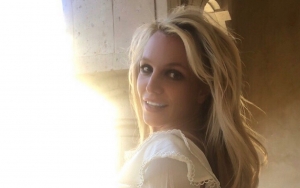 Britney Spears' Lawyer Calls Alleged Battery and Pet Neglect 'Gossip Nonsense'