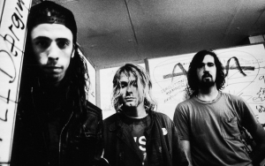 Nirvana Hit With Child Exploitation Lawsuit for Naked Baby Photo on 'Nevermind' Album Cover