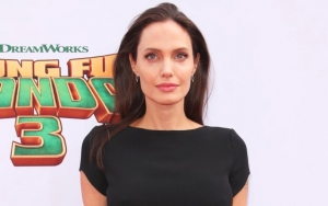 Angelina Jolie Slips Into Beekeeping Gear to Emphasize on Importance of Bees