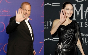Harvey Weinstein Slams Angelina Jolie as She Accuses Him of Assaulting Her
