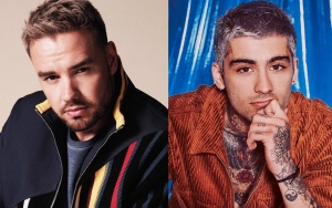 Liam Payne Pokes Fun at Zayn Malik's One Direction Exit in Viral TikTok Video