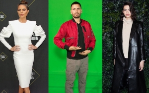 Lisa Rinna Seemingly Happy Over Daughter Amelia Hamlin and Scott Disick's Split