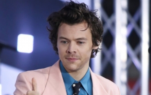 Harry Styles Forced to Cancel Houston Concert Over Tropical Storm Nicholas