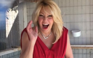 Heather Locklear Anxious About TV Comeback