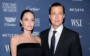 Brad Pitt Accused of Seeking 'Special Treatment' in Custody Battle With Angelina Jolie