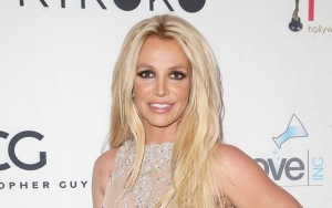 Britney Spears Officially Files Documents to End Conservatorship 