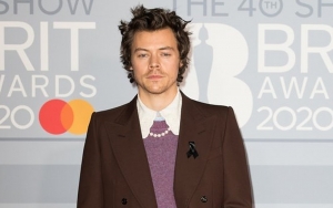 Harry Styles Helps Pregnant Fan Reveal Baby's Gender During Concert
