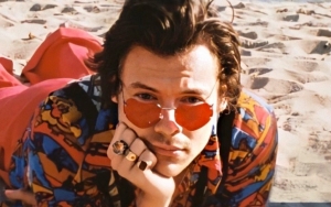 Harry Styles Confirms NSFW Meaning of His Hit Song 'Watermelon Sugar'