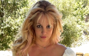 Britney Spears 'Cried' Over Fans' Support for 'Free Britney' Movement