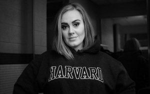 Adele 'Lost the Plot' Before Filing for Divorce