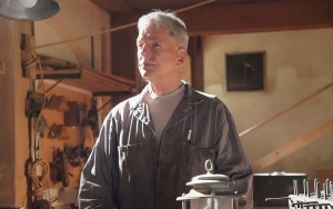 Mark Harmon Leaving 'NCIS' After 18 Years