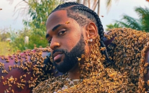 Big Sean Poses With 65,000 Bees as He Releases New Song 'What a Life' Ft. Hit-Boy