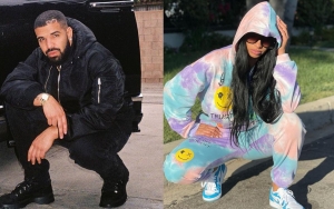 Drake Already Has 'New Fling' After Splitting From Johanna Leia 