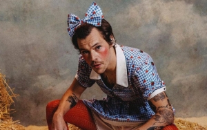 Harry Styles Dresses Up as Dorothy at 'Harryween' Concert 