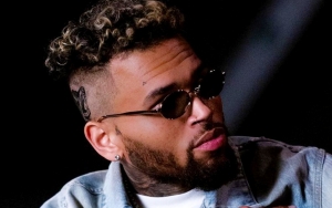 Chris Brown's Ex-Housekeeper Demands $1M Default Judgment in Dog Attack Case