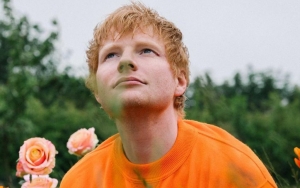 Ed Sheeran Recalls Being Turned Down From 'Britannia High' by Arlene Phillips