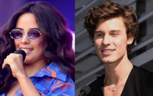 Camila Cabello Appears to Be in Low Spirits in First Public Pic After Shawn Mendes Split