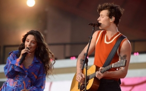 Camila Cabello Celebrates 'Gratitude Day' on Thanksgiving Following Shawn Mendes Split