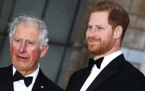 Prince Charles and Prince Harry Talking Again Following Racist Remarks Allegations