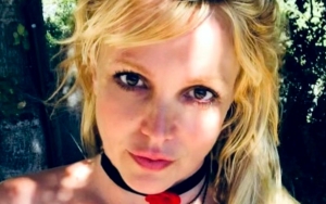 Britney Spears Sparks Pregnancy Rumors After Revealing She Has 'Horrible' Nausea During Vacation