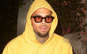 Chris Brown Fans Slammed for Defending the Singer Against Rape Allegation