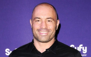 Spotify CEO Urges Joe Rogan to 'Abide' Its Policies While Addressing Artists' Catalog Removal