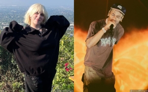 Billie Eilish Seemingly Shades Travis Scott as She Stops Concert to Give Fan Asthma Inhaler