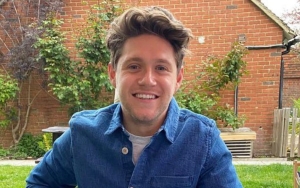 Fans Send Well Wishes to Niall Horan After He Fell 'Extremely Ill' During a Flight
