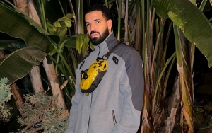 Drake Files for Restraining Order Against Female Trespasser
