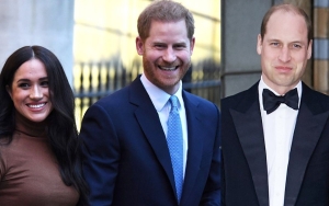 Prince Harry and Meghan Markle's Fans Dragged for Attacking Prince William