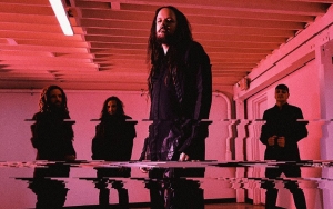 Korn Faces Death Threat as Tour Bus Is Hit by Gunfire Hours Ahead of Illinois Show