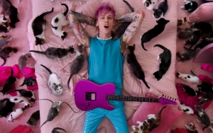 Machine Gun Kelly Surrounded by Dozens of Cats in Music Video for 'Make Up Sex' Ft. Blackbear
