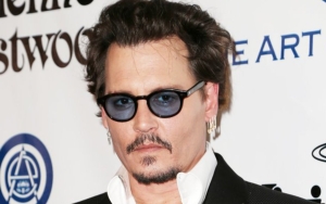 Pics of Johnny Depp Passing Out After Taking Opioids and His Drugs Shown in Court