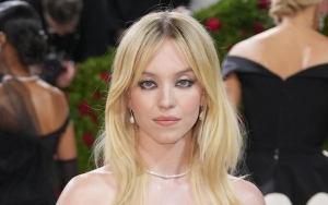 Met Gala Rep Responds After Sydney Sweeney Was Sexually Harassed on Red Carpet in Viral Clip