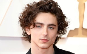 Timothee Chalamet's West End Stage Debut Canceled After Two Years of Delay