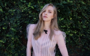 Amanda Seyfried Recalls Feeling 'Grossed Out' by Male Fans' 'Mean Girls' Comments