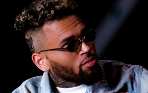 Chris Brown Fires Back at Fan Who Claims He Kicked Her Out for Refusing to Hook Up With Him