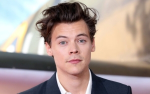Harry Styles Pauses London Gig to Help Struggling Fan
