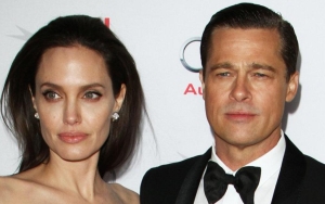 Brad Pitt Accuses Angelina Jolie of Inflicting Harm on Him With Winery Sale