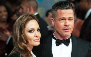 Angelina Jolie Brands Brad Pitt's Claims About Hurting Him With Winery Sale 'False Narrative'