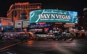 Day N Vegas Festival Canceled Due to 'Combination of Logistics, Timing and Production Issues'