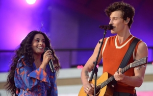 Camila Cabello Not Feeling Pressured to Find Love Again After Shawn Mendes Split